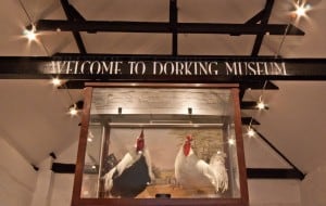 Welcome to Dorking Museum