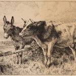 Charles Collins, Cow and Donkey