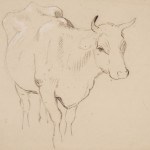 Charles Collins, Cow