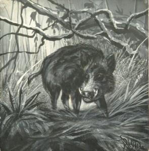 Denham Jordan, Boar