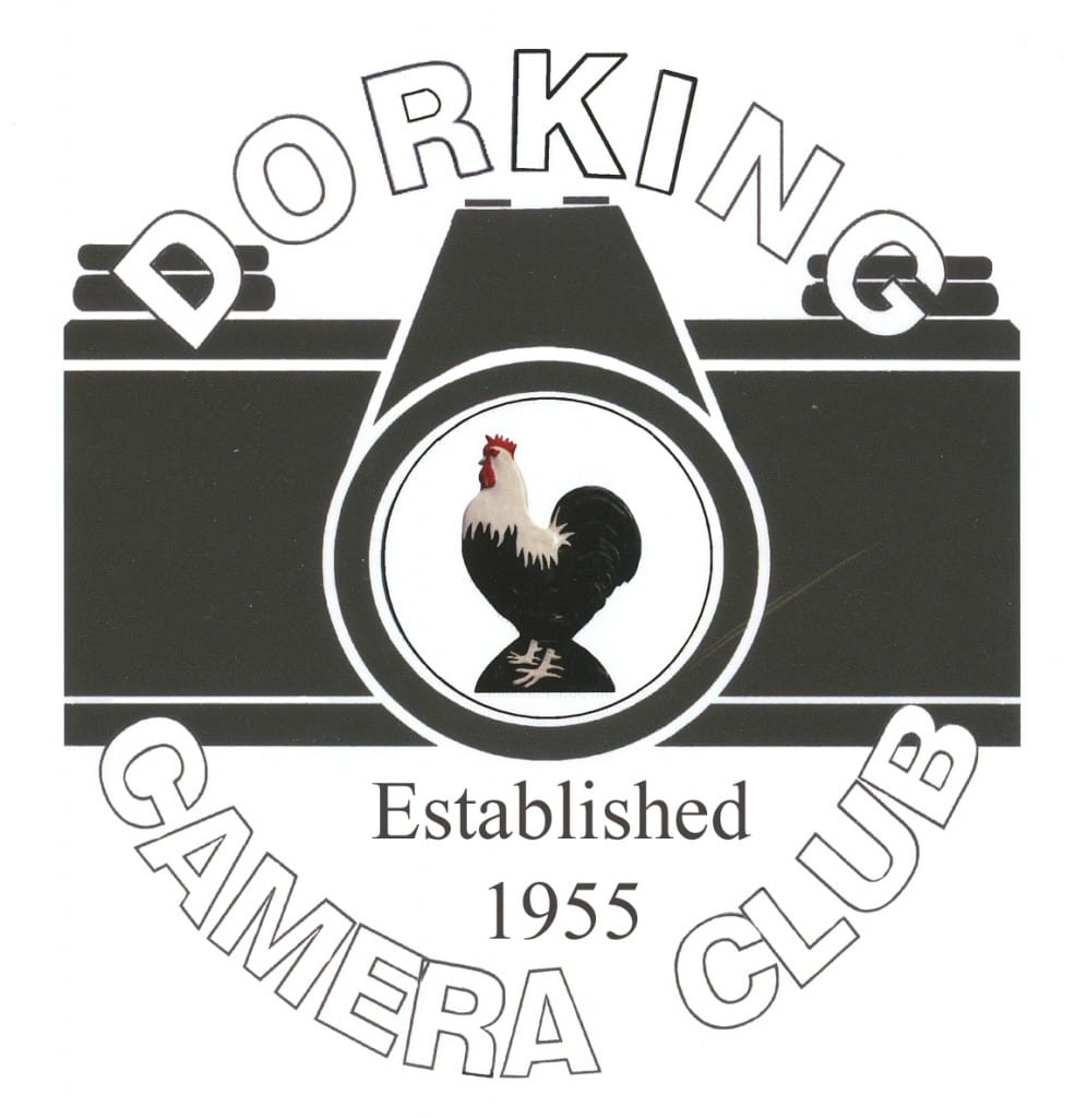 Dorking Camera Club Logo