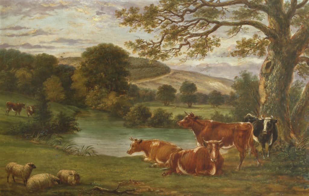 Boxhill - River Mole - Cows
