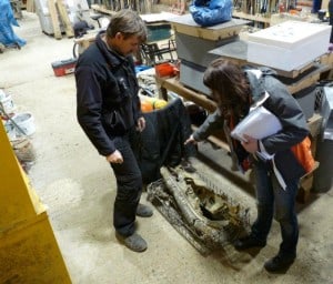 National Trust & Dorking Museum inspect the plane