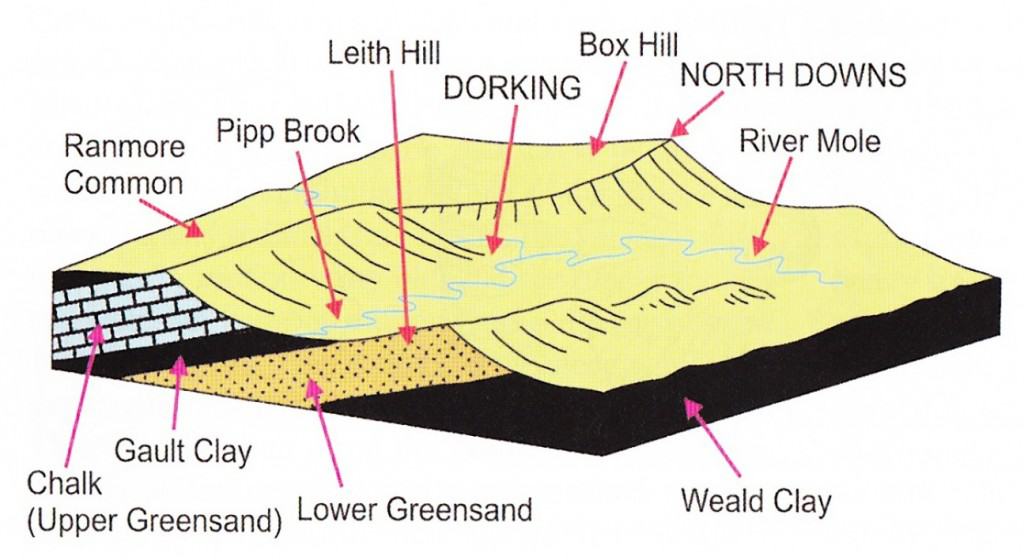 Geology Map