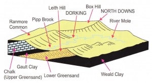Geology Map