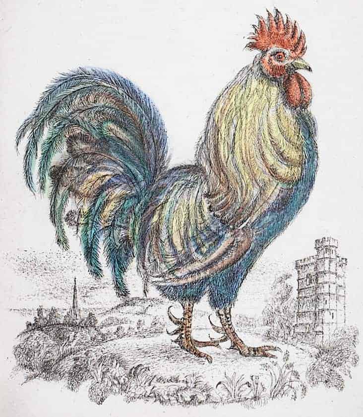 Dorking cockerel with St Martin’s spire and Leith Hill tower by Peter Barnard.