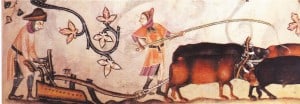 Ploughing with oxen. Image from the 14th century Luttrell Psalter