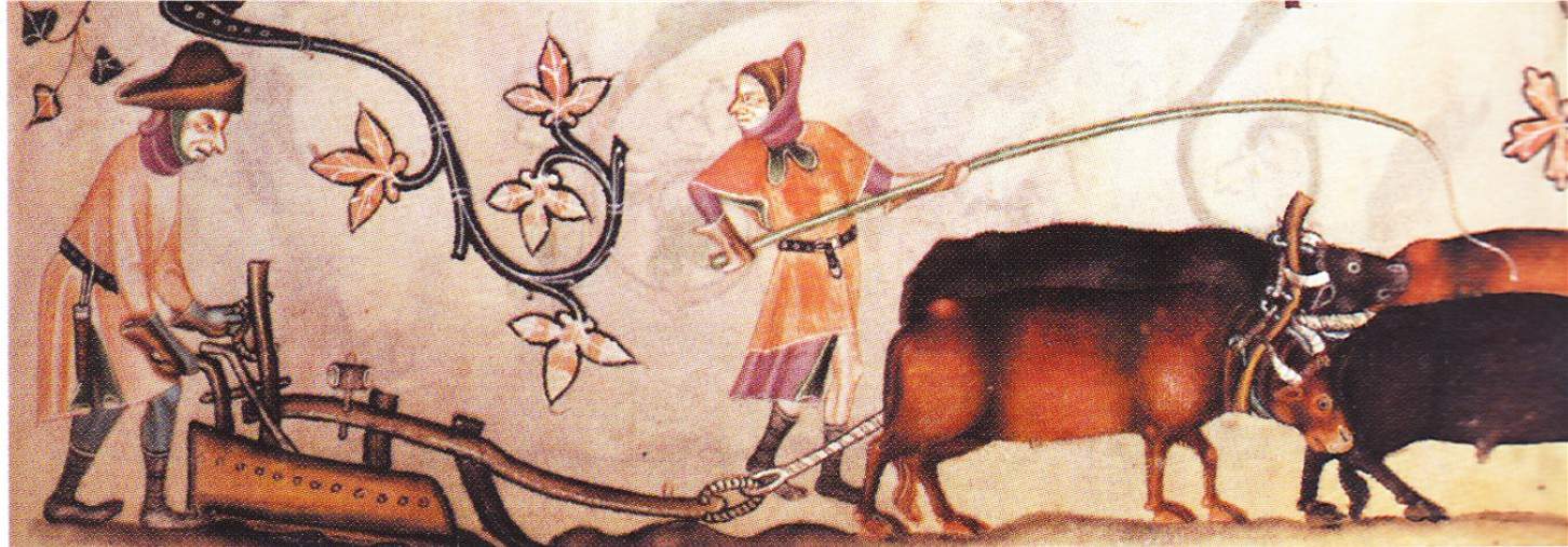 Ploughing with oxen. Image from the 14th century Luttrell Psalter