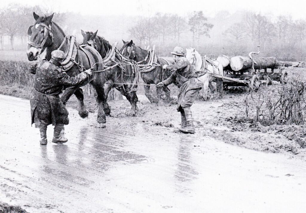 Transport Brandon Weald