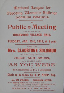 Poster for the National League for Opposing Women’s Suffrage, Dorking branch.