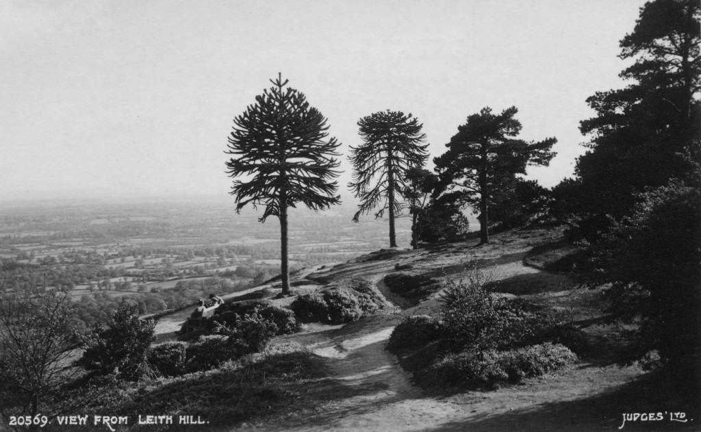 View From Leith Hill