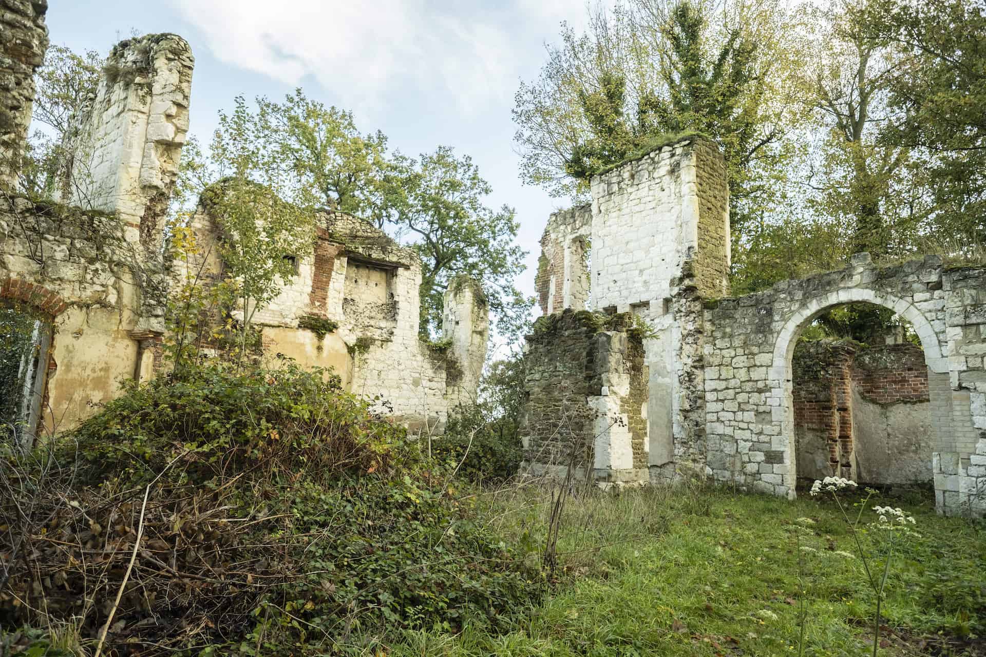 Dorking Great Estates - Betchworth Castle and Park