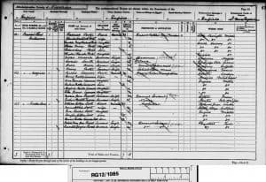 Dora Frances Livermore 1891 Census © findmypast.co.uk