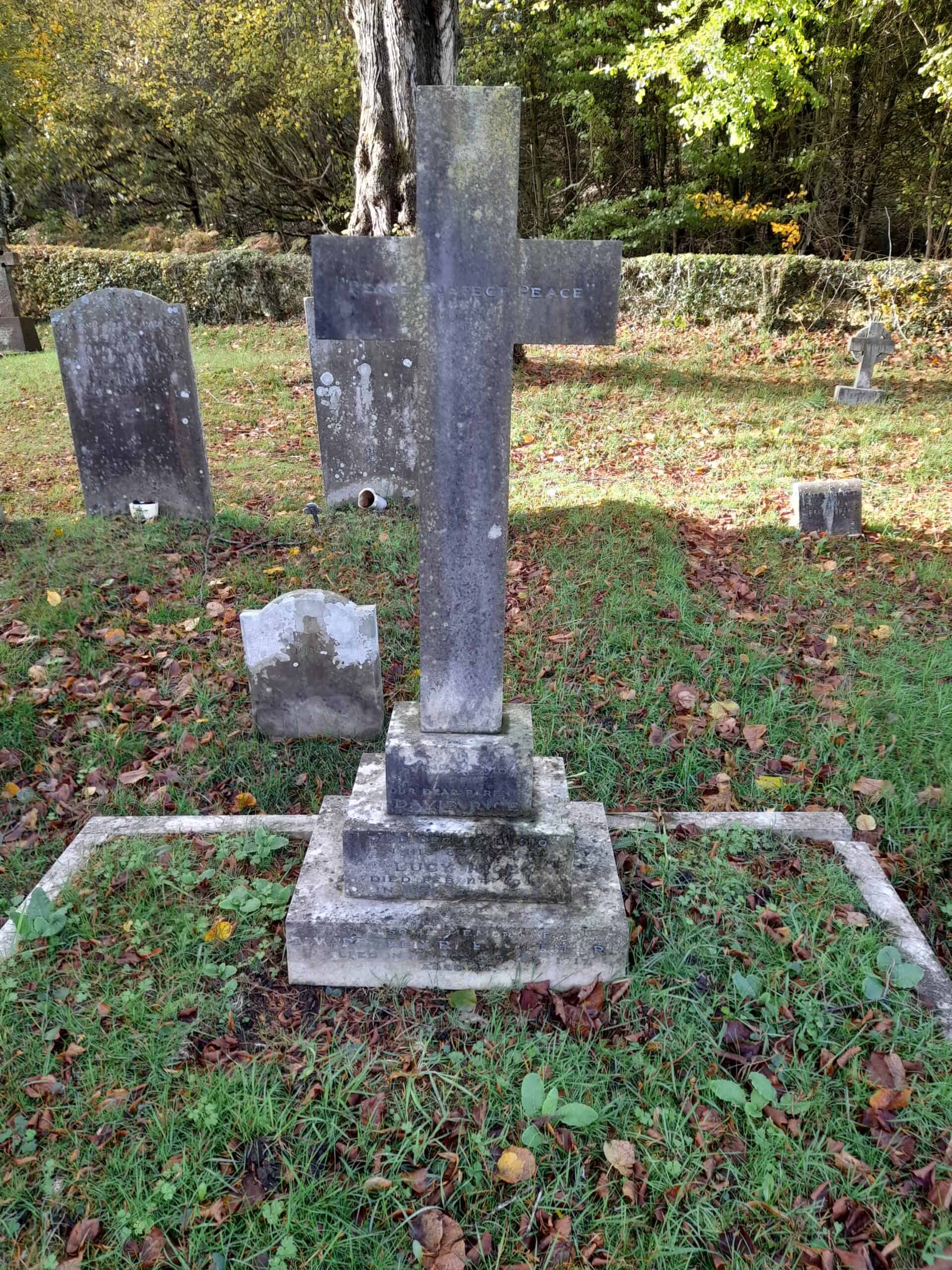 2nd Lieutenant Edward Felix Rice. Coldharbour Soldier