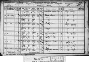 Edwin Tanner 1891 Census © findmypast.co.uk