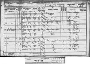 George Truelove 1891 Census © findmypast.co.uk