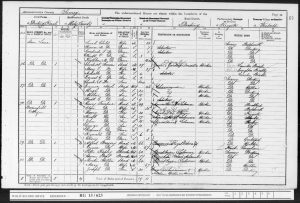 George Truelove 1901 Census © findmypast.co.uk