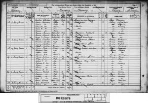 Louisa Strudwick 1891 Census © findmypast.co.uk