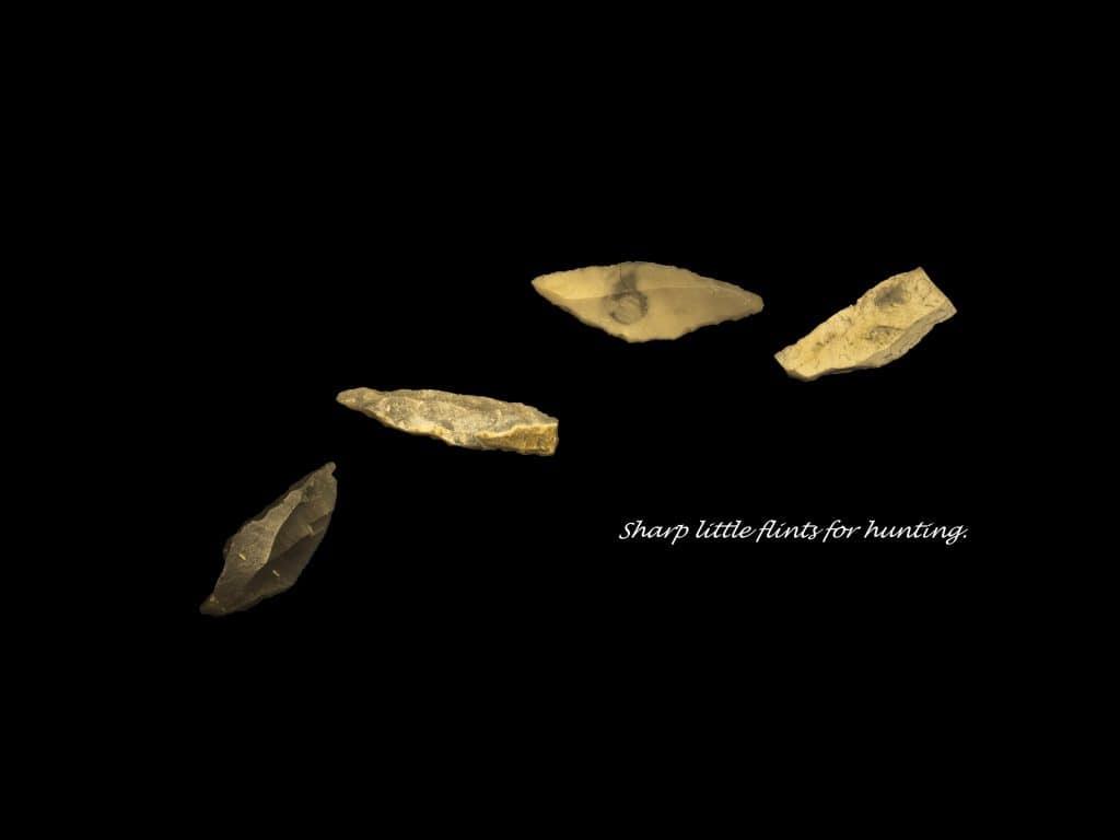 Microshits Rocks Dorking Archaeological Discoveries