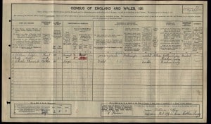William Kippin 1911 Census © findmypast.co.uk