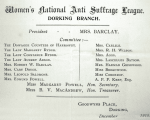 Women's Anti Suffrage Committee
